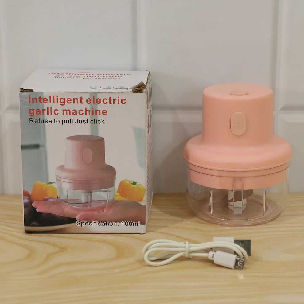 USB Rechargeable mini garlic chopper 100ml Dual blade